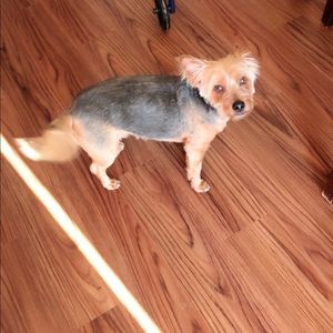 Meet your Posher, Juana